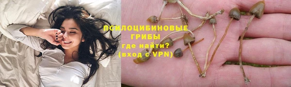 прущие грибы Пролетарск