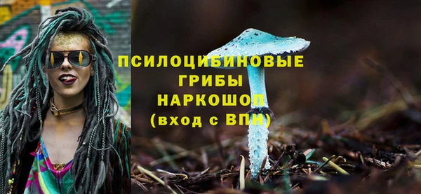 твердый Балахна